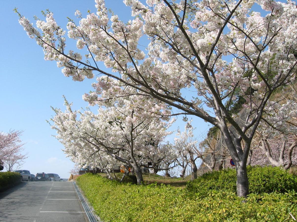 Koibito Misaki Pension Marine Mates Izu  Exterior foto