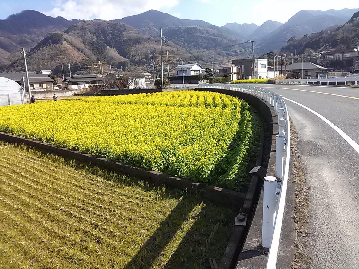 Koibito Misaki Pension Marine Mates Izu  Exterior foto