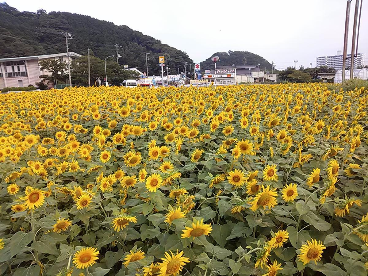 Koibito Misaki Pension Marine Mates Izu  Exterior foto